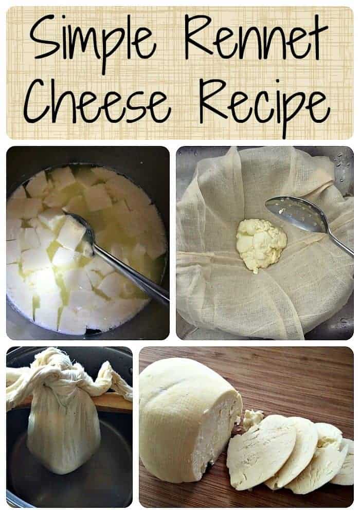 Simple Rennet Cheese Recipe