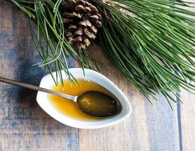 Pine Needle Recipes Drinks Desserts Syrups Balms More