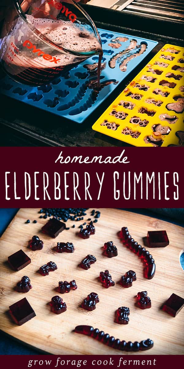 Homemade Elderberry Gummies Made With Elderberry Syrup