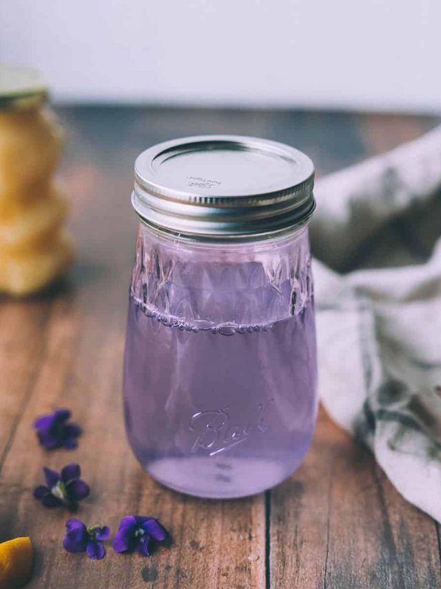 Wild Violet Syrup Recipe For Spring Cocktails Grow Forage Cook Ferment