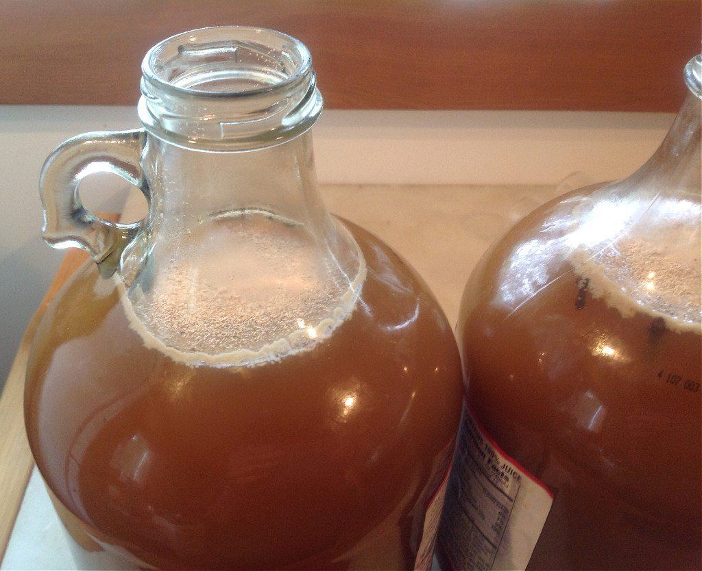 How to Make Hard Cider Part 1: Brew it!