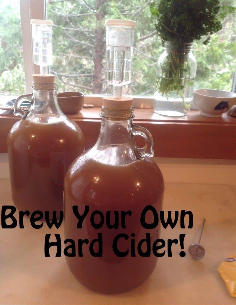 How to Make Hard Cider Part 1: Brew it!