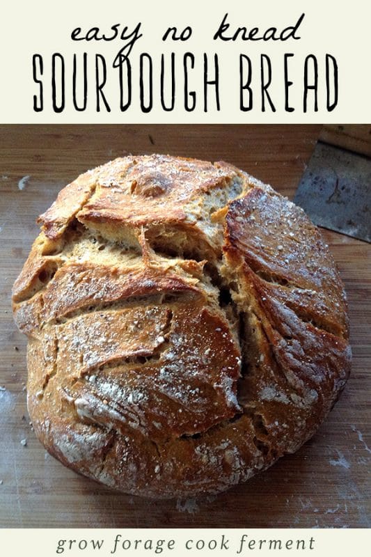 The Easiest No Knead Sourdough Bread