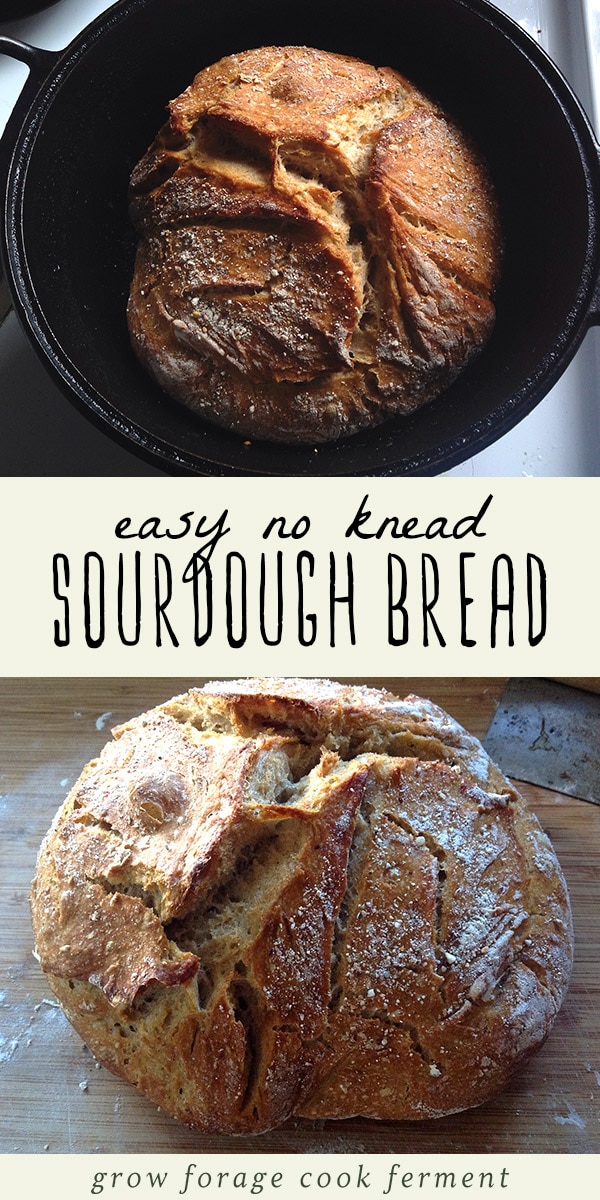 The Easiest No Knead Sourdough Bread