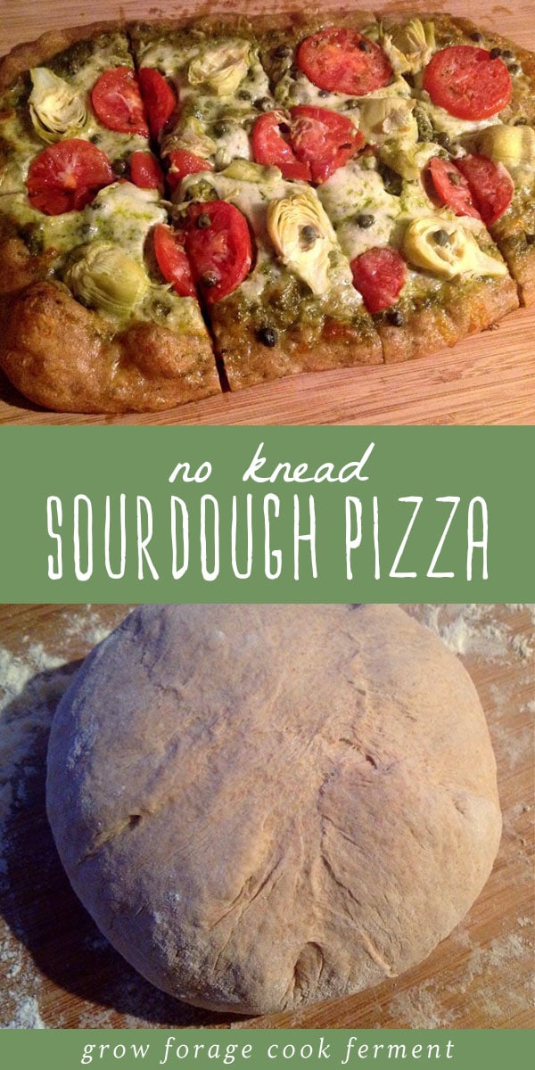 No Knead Sourdough Pizza