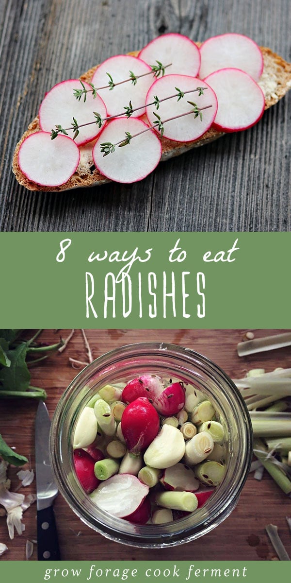 8 Ways to Eat Radishes and Radish Greens