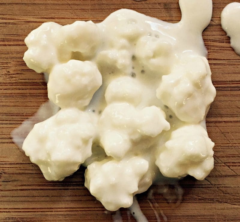 Hard Kefir Cheese Recipe - Cultures For Health
