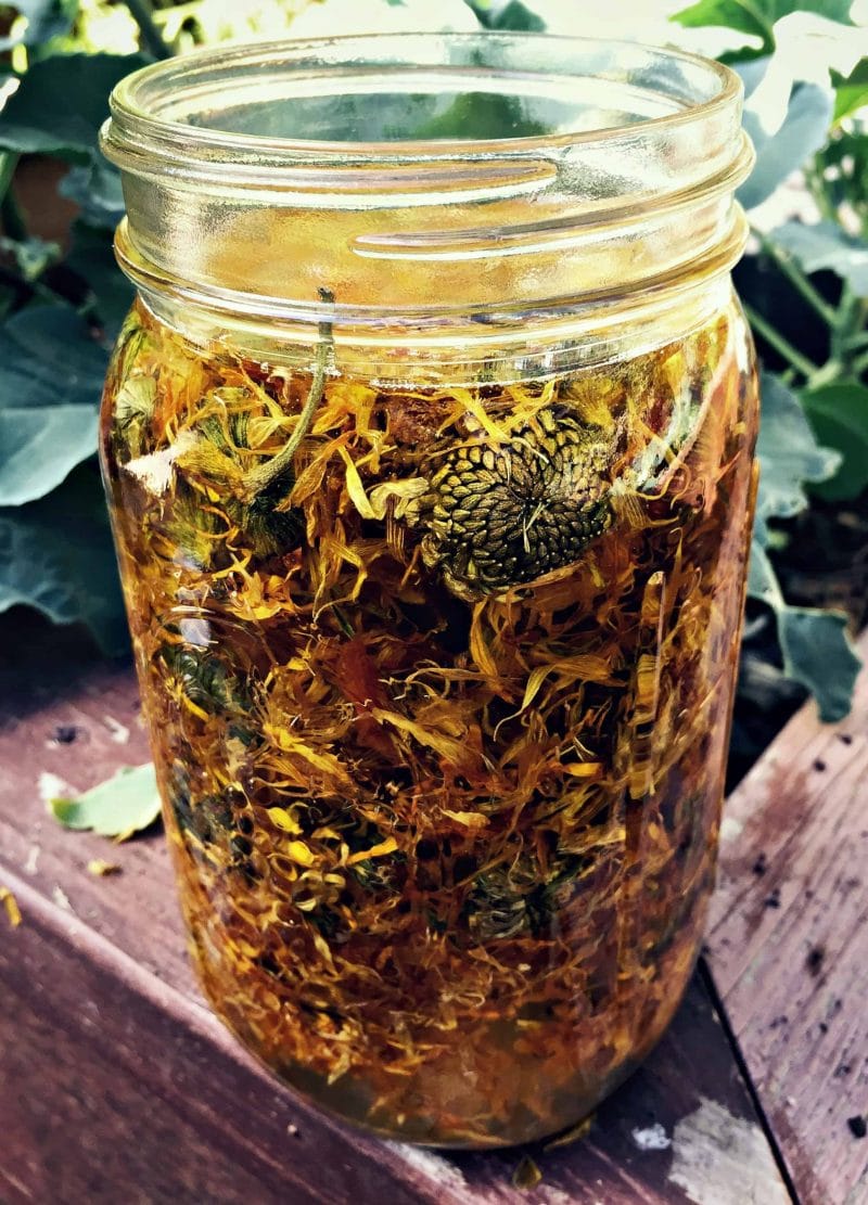 calendula oil