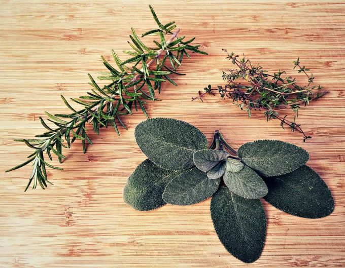 How to Grow and Cook with Sage