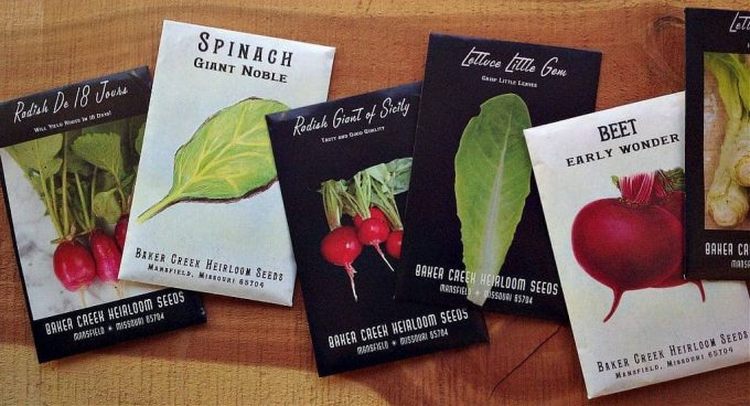 How to Choose the Right Seeds for Your Garden