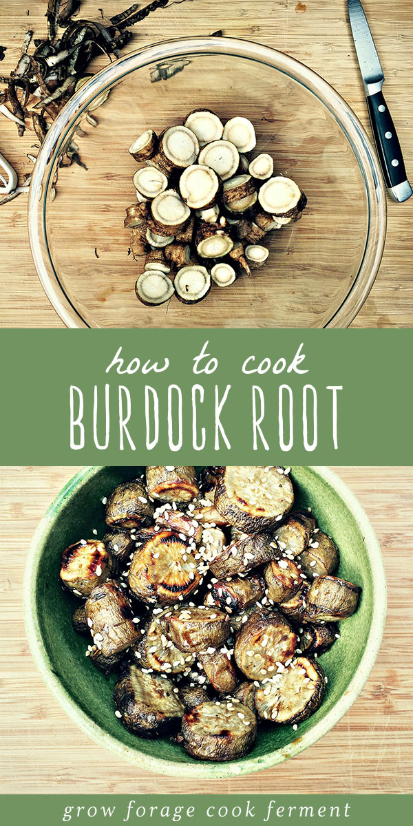 How to Cook Burdock Root