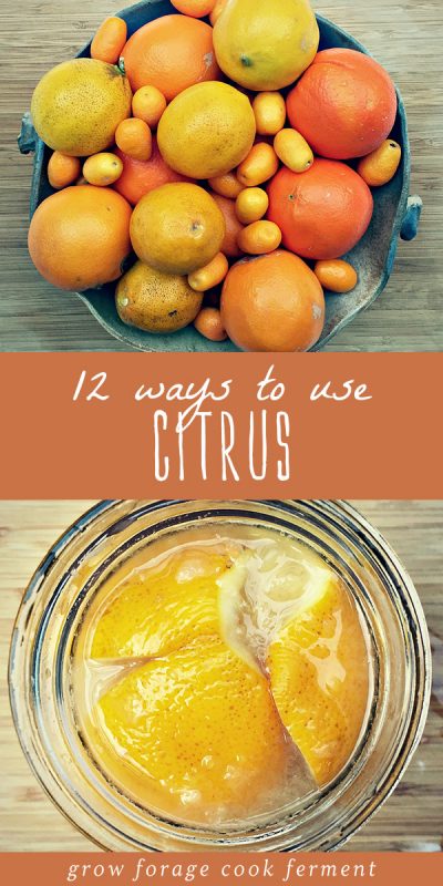 12 Ways to Use and Preserve Citrus