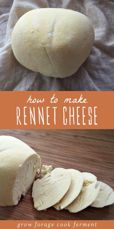 Simple Rennet Cheese Recipe