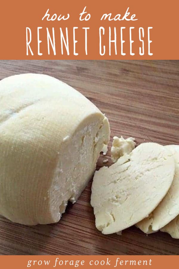 How to make HOMEMADE CHEESE? How to make RENNET?🧀Complete RECIPE to make  HOMEMADE CHEESE and RENNET 