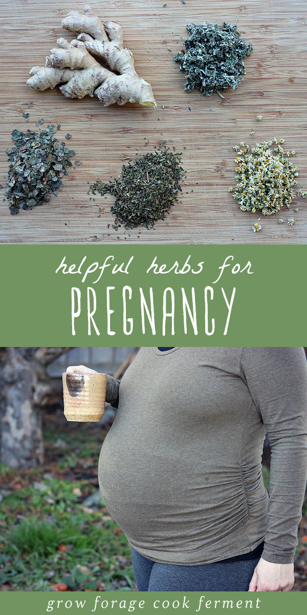 5-helpful-herbs-for-pregnancy