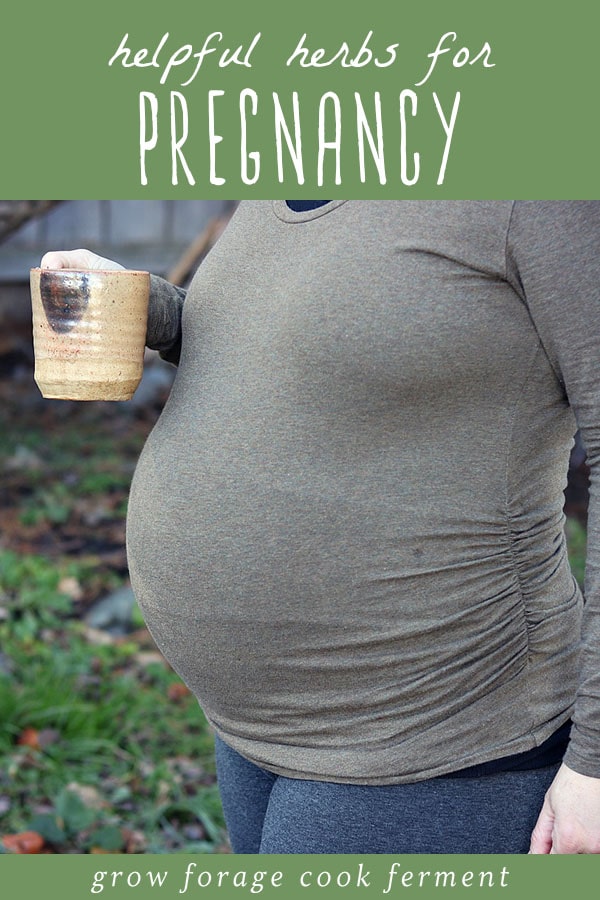 A pregnant woman holding a mug of herbal tea.