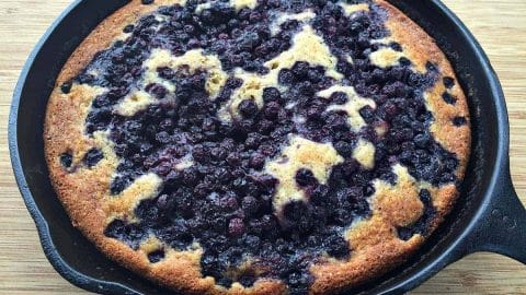 https://www.growforagecookferment.com/wp-content/uploads/2016/06/blueberry-cornmeal-skillet-cake-side-480x270.jpg