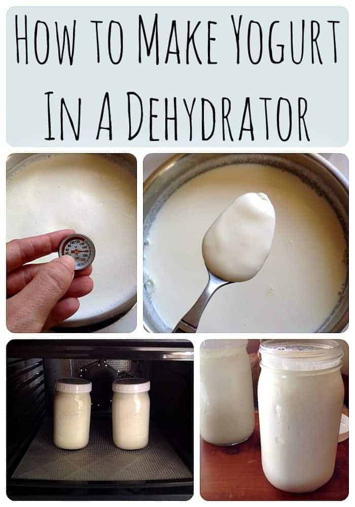 How to Make Yogurt in a Dehydrator