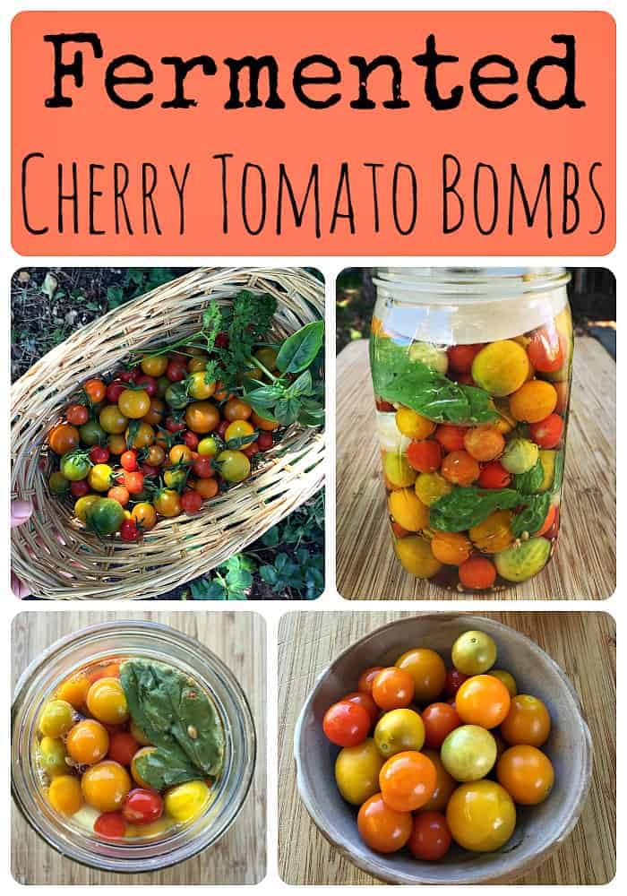 how-to-make-fermented-cherry-tomato-bombs