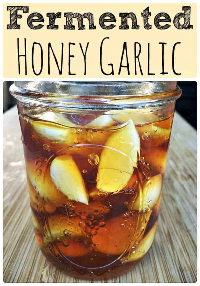 fermented-honey-garlic