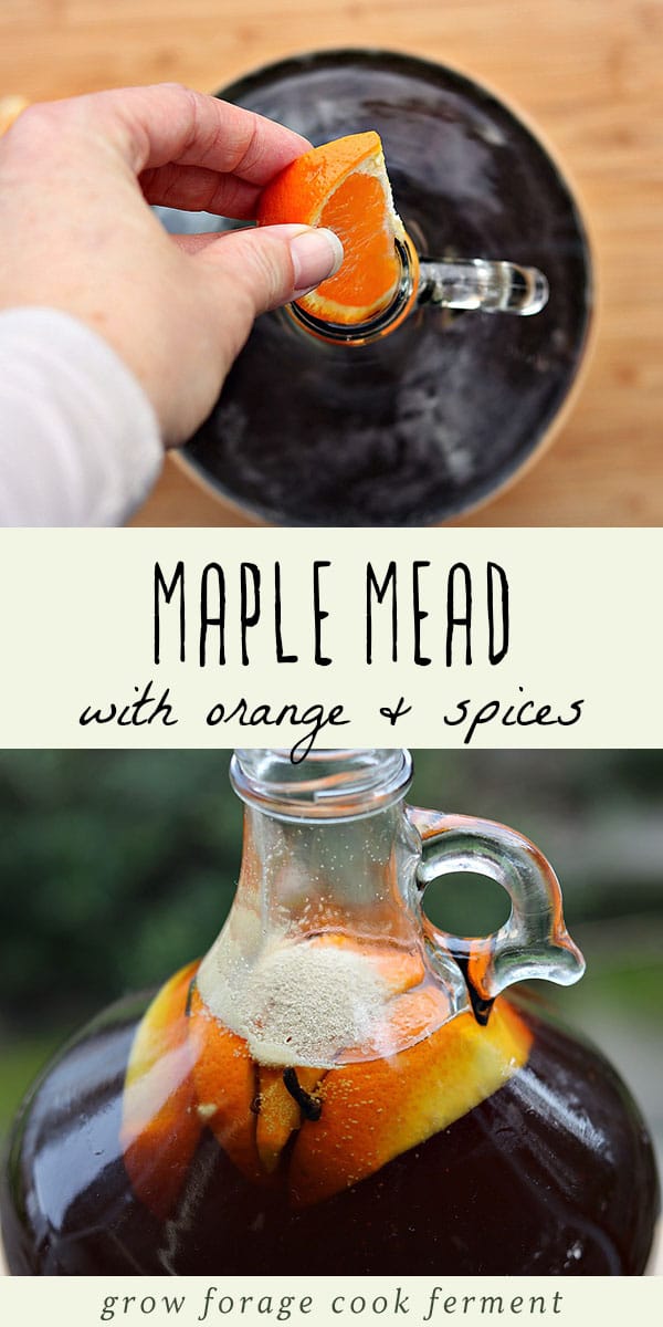 Maple Mead with Orange and Spices (Acerglyn)