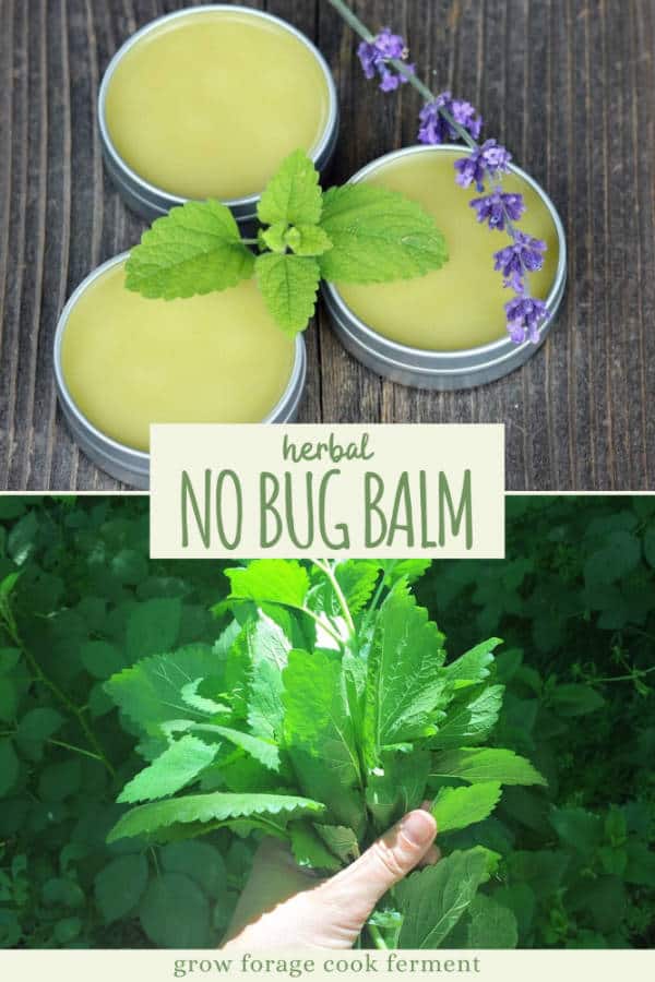 DIY Herbal No Bug Balm (with Lemon Balm)