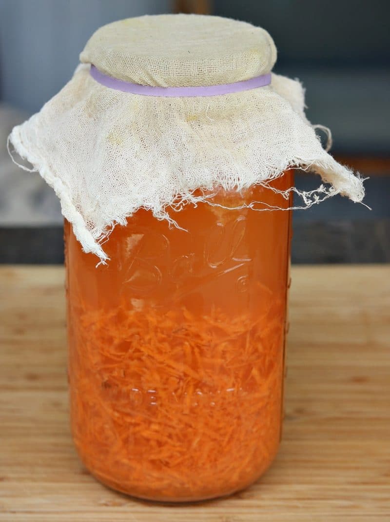 Fermented Sweet Potato Kvass