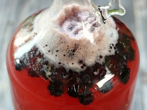 Blackberry mead wine recipe