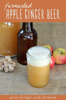 Fermented Apple Ginger Beer (Made with a Ginger Bug)