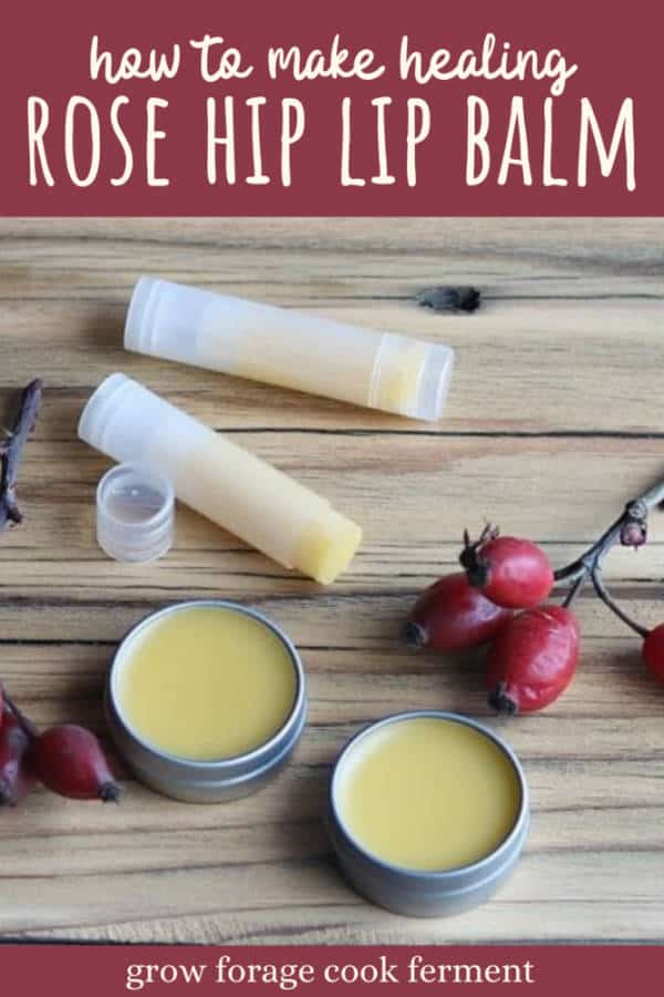 Rose Hip Lip Balm for Soothing Dry Lips