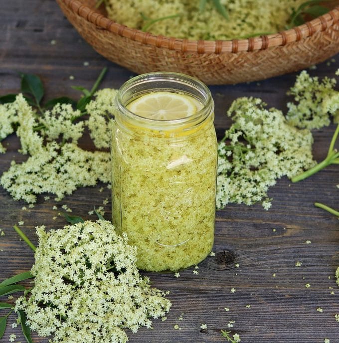 Elderflower Liqueur Recipe: Homemade St. Germain