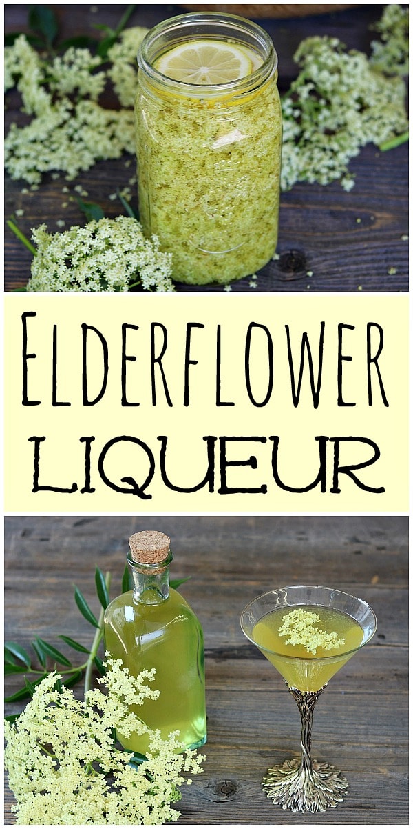 Elderflower Liqueur Recipe: Homemade St. Germain