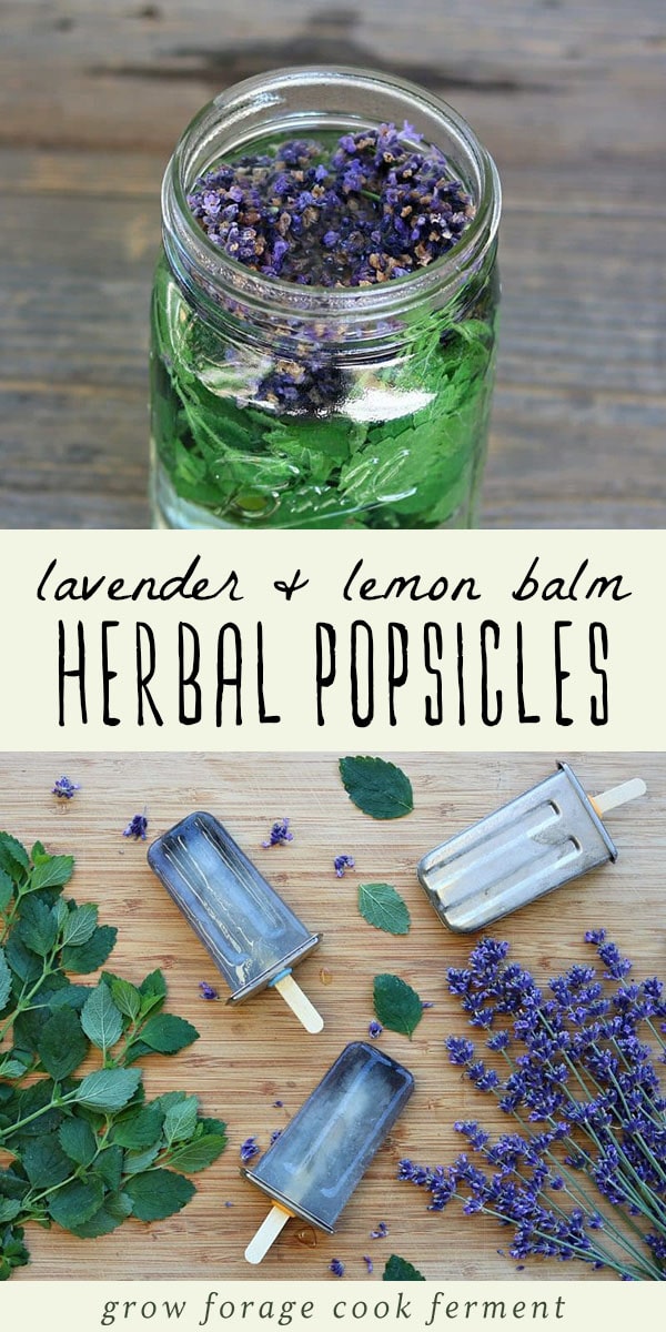 Herbal Popsicles with Lavender and Lemon Balm