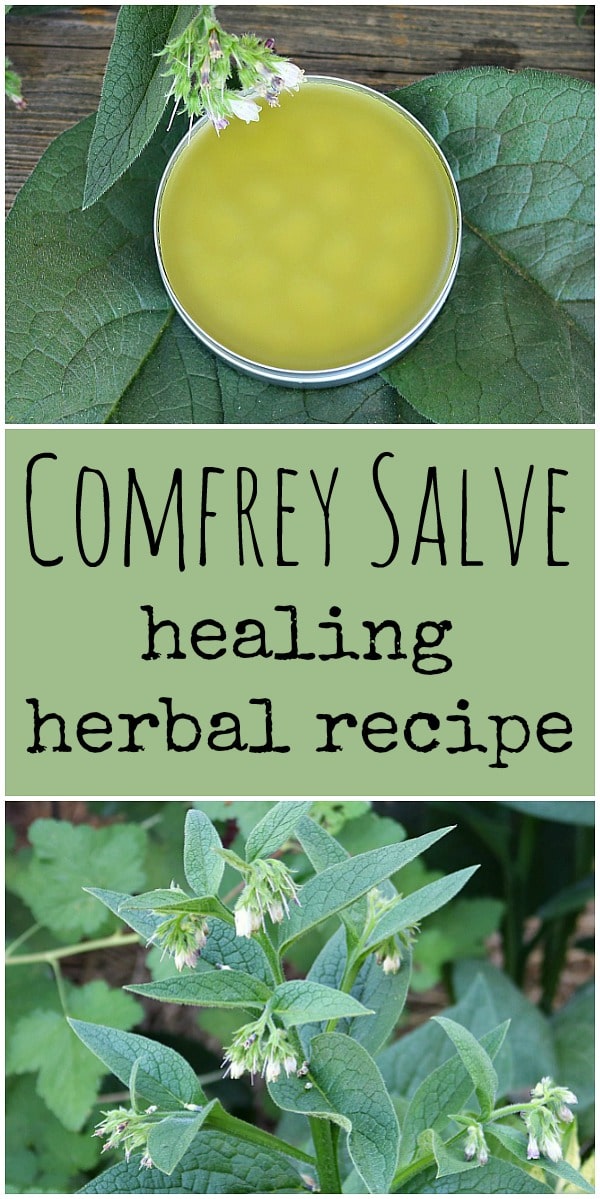 Comfrey Salve: Healing Herbal Recipe