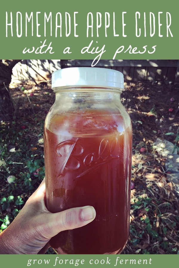  How To Make Apple Cider With A DIY Press