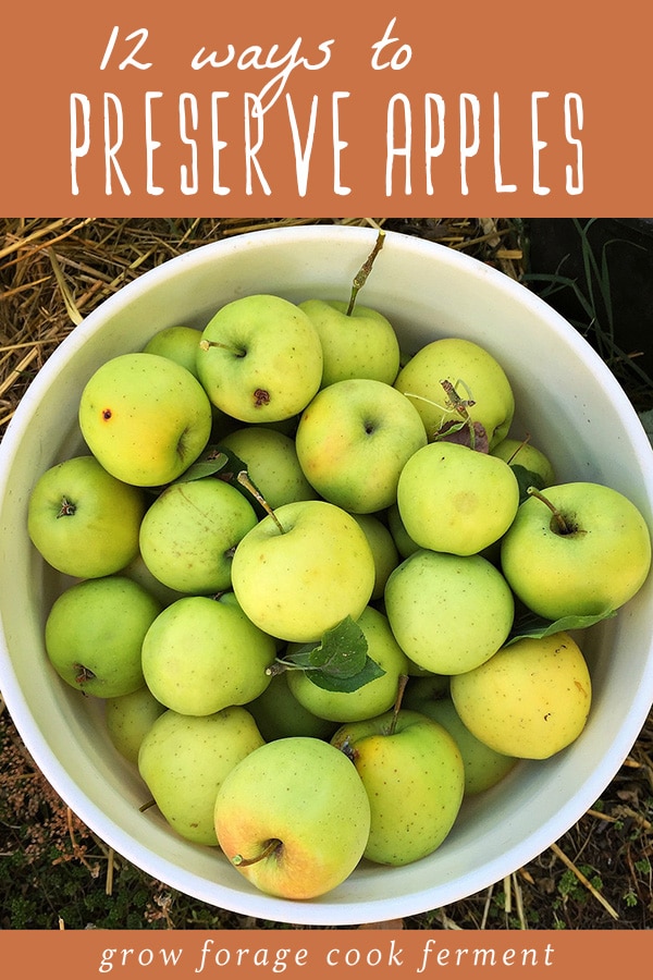 Ways to Preserve Apples