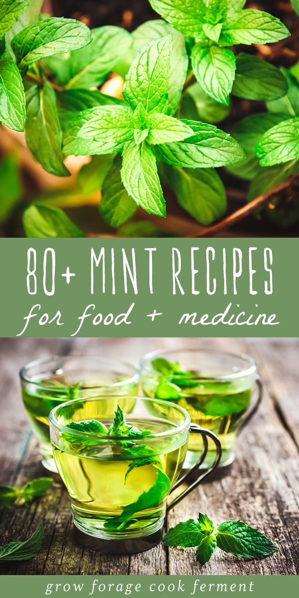 80+ Mint Recipes: Drinks, desserts, remedies + more!