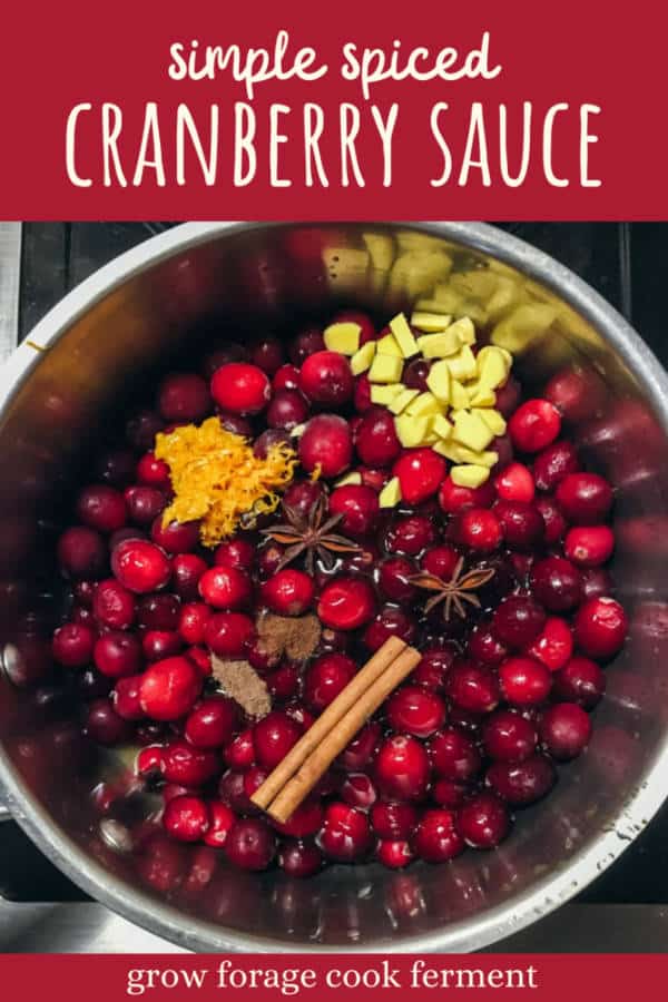 Simple Spiced Cranberry Sauce with Orange and Ginger
