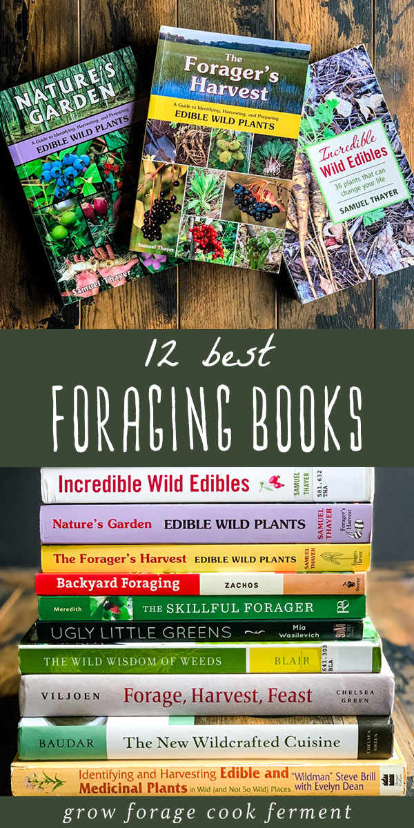 12 Best Books On Foraging And Wildcrafting