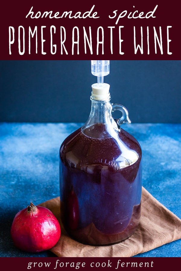 Homemade Spiced Pomegranate Wine