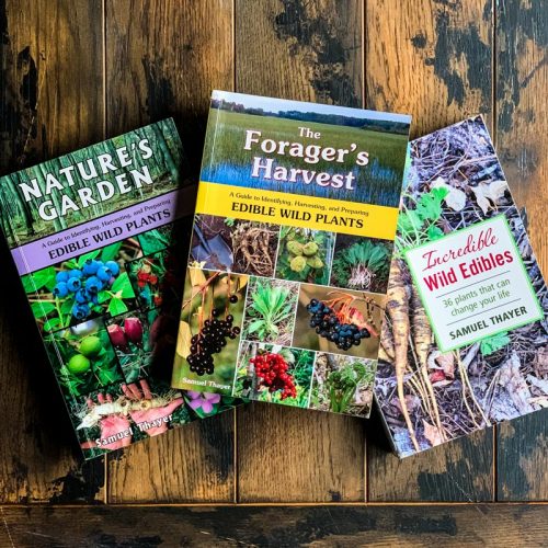 12 Best Books on Foraging and Wildcrafting