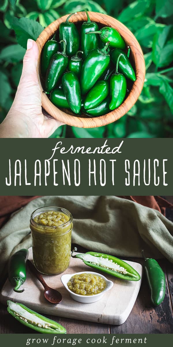 Fermented Jalapeño Hot Sauce