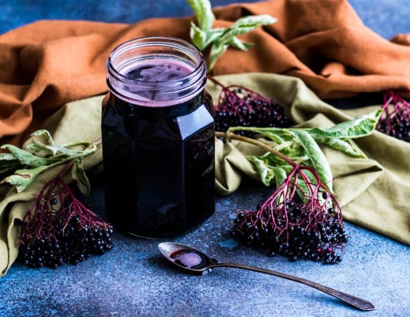 How To Make Elderberry Syrup: Simple Recipe With Fresh Or Dried Berries