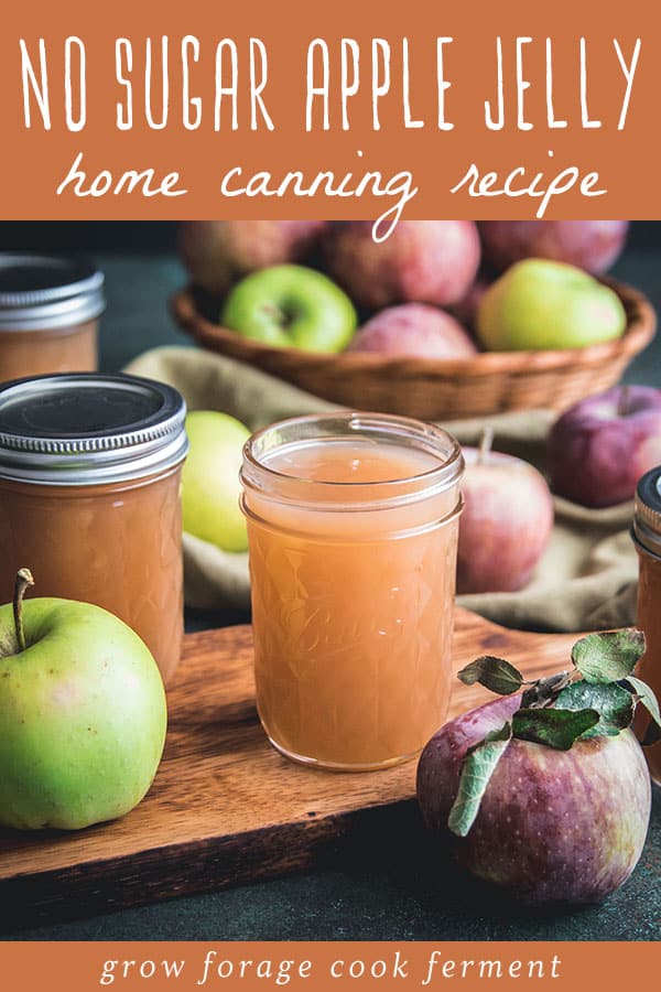 Bernardin Home Canning: Because You Can: Jelly Bags