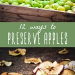 Ways to Preserve Apples