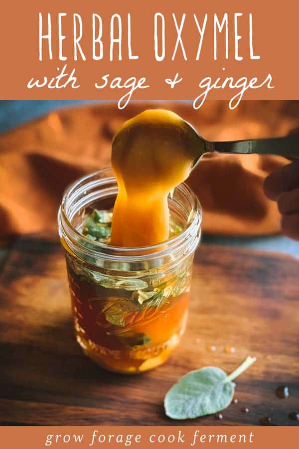 herbal-oxymel-recipe-with-sage-and-ginger