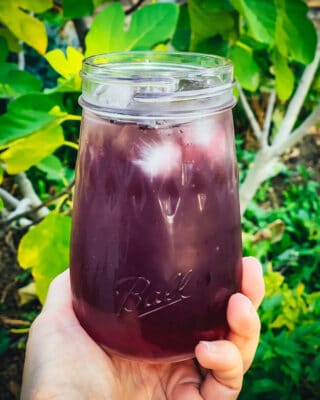 Elderberry Cocktail: Made With Elderberry Syrup