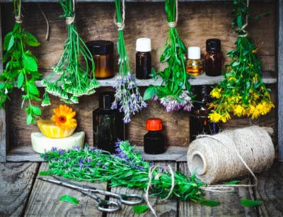 Gift Guide for Herbalists: Herbs, Teas, Supplies, Books & More!