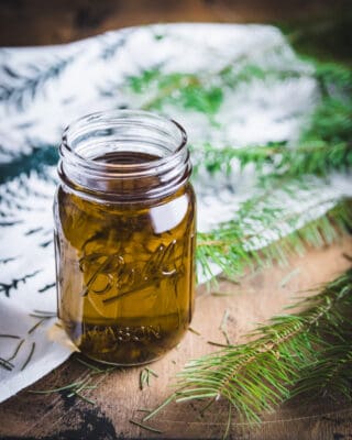 Conifer Infused Oil for Body & Mind: with Pine, Spruce, or Fir Needles