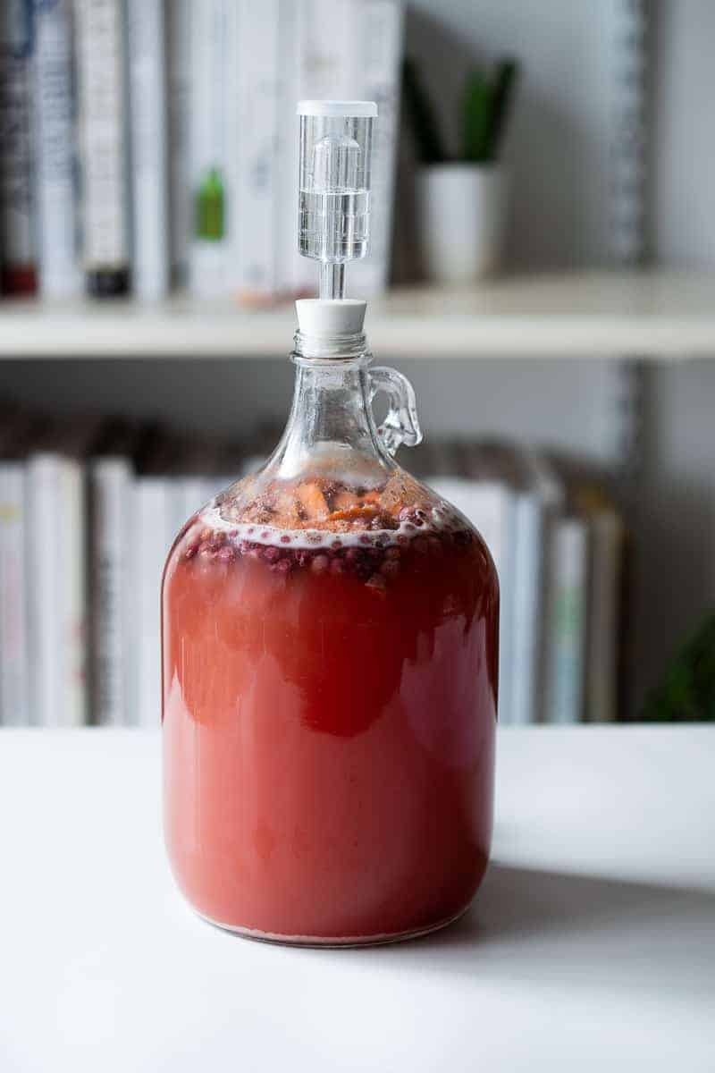 one gallon of mead with an airlock starting to develop fermentation bubbles